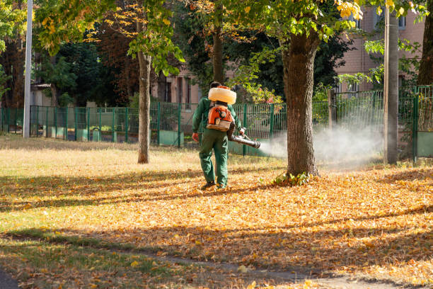 Best Best Pest Control Companies  in Bell Nyon, CA